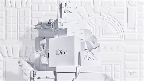 bleached goods dior|dior official site usa.